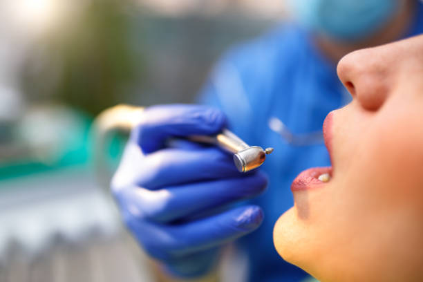 Professional  Holistic Dental Services in Florida Gulf Coast University, FL